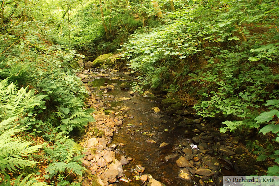Afon Trystion, Cynwyd, Denbighshire