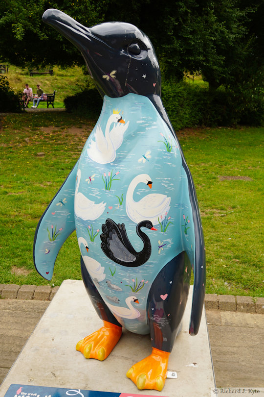 Penguin 1: "Sanctuary", Waddle of Worcester 2024