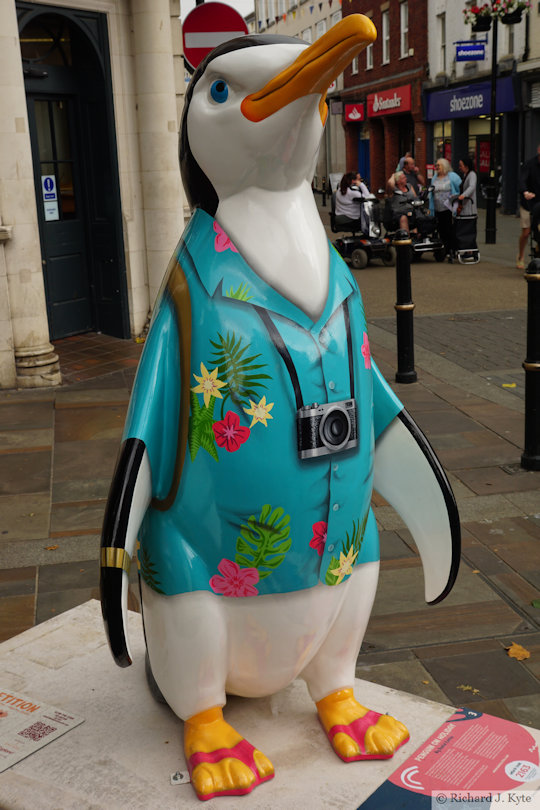 Penguin 3: "Penguin on Holiday", Waddle of Worcester 2024