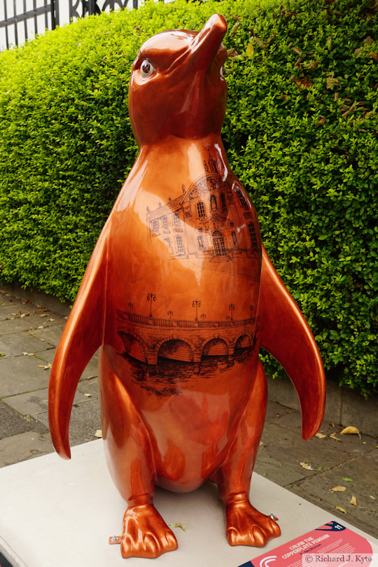 Penguin 11: "Calvin the Copperplate Penguin", Waddle of Worcester 2024