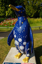 Click to see expanded image