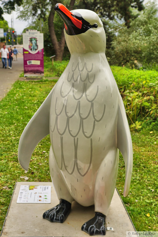 Penguin 27: "The Swan", Waddle of Worcester 2024