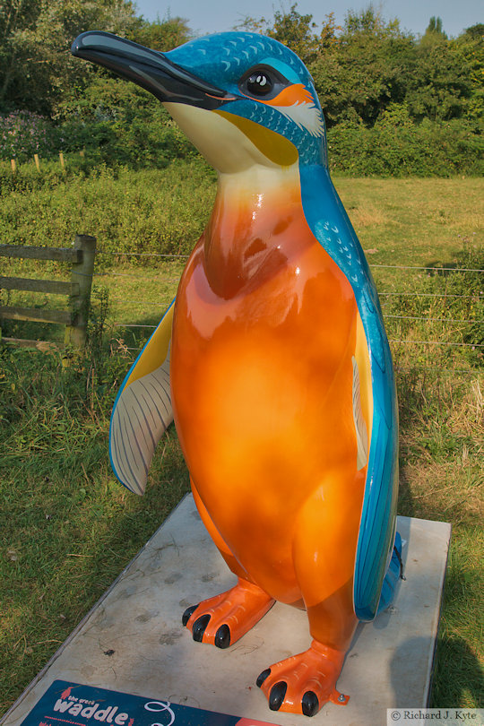 Penguin 31: "Kingfisher Azure", Waddle of Worcester 2024