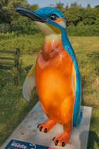 Click to see expanded image