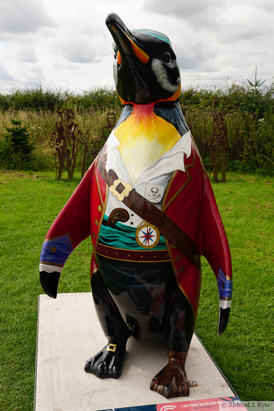 Penguin 33: "Captain Blackbeak", Waddle of Worcester 2024