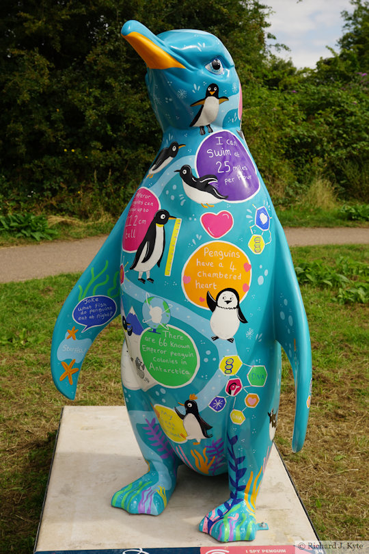 Penguin 34: "I Spy Penguin", Waddle of Worcester 2024