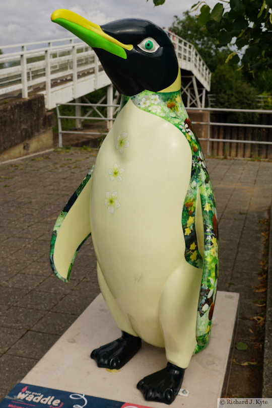 Penguin 35: "Blossom (they/them)", Waddle of Worcester 2024