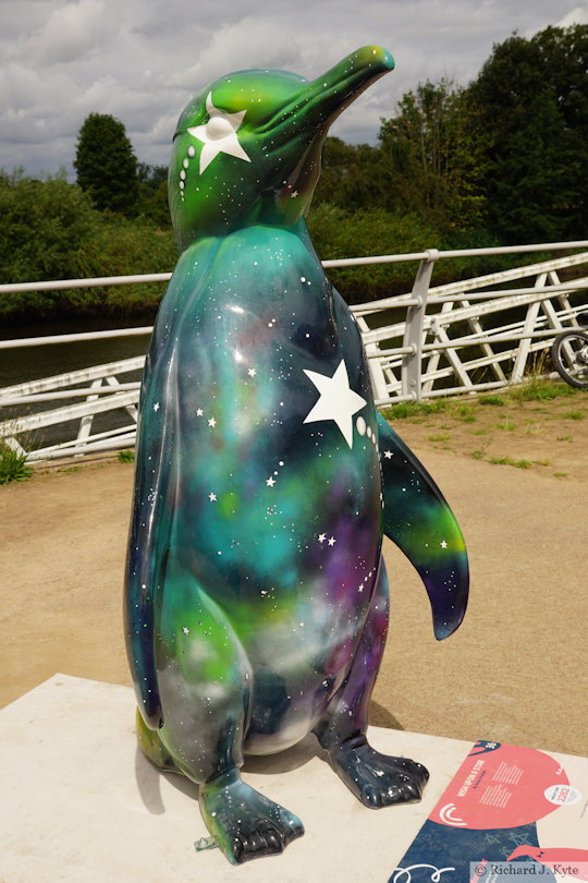 Penguin 36: "Wish Upon A Star", Waddle of Worcester 2024