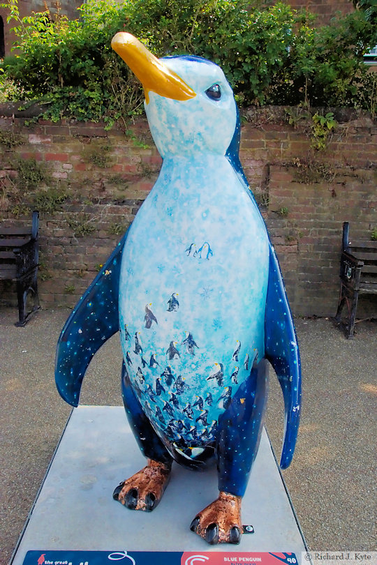 Penguin 40: "Blue Penguin", Waddle of Worcester 2024