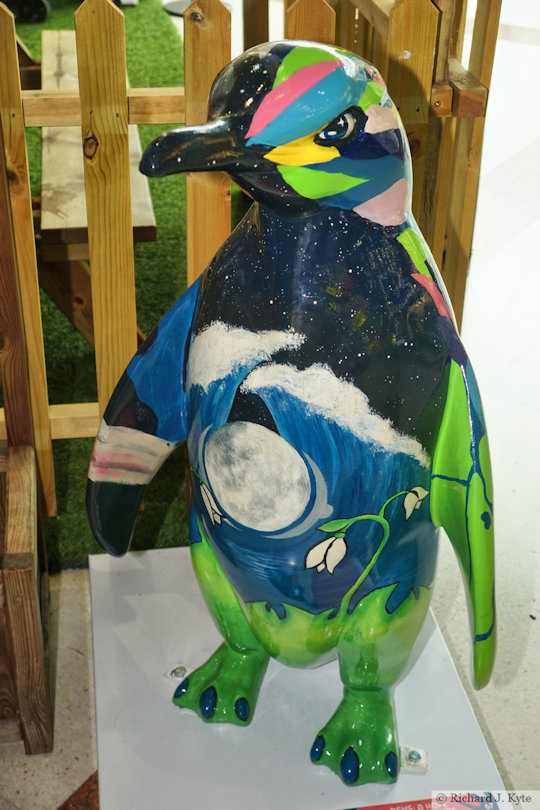 Penguin 67: "DSHS: A Hope for the Future", Waddle of Worcester 2024