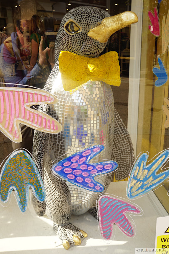 Penguin 73: "Tango", Waddle of Worcester 2024