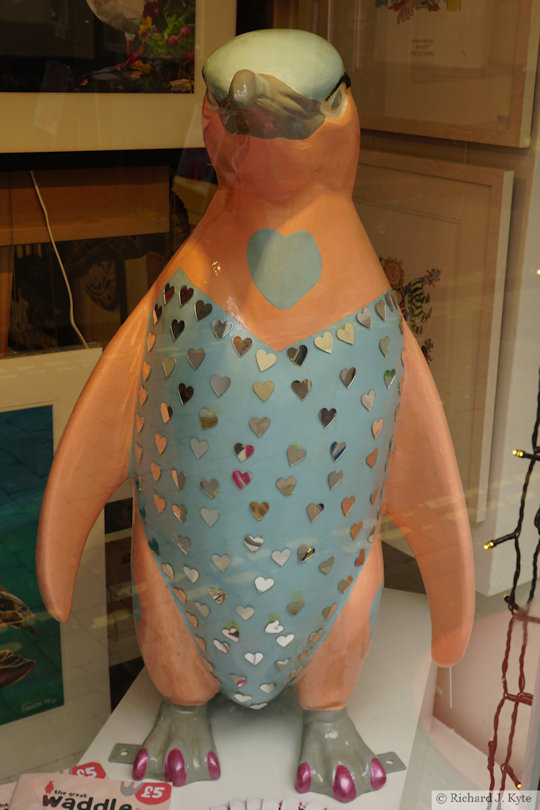 Penguin 78: "Paloma", Waddle of Worcester 2024
