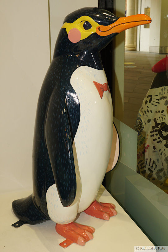 Penguin 82: "Hoiho", Waddle of Worcester 2024