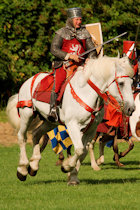 Click to see expanded image