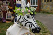 Click to see expanded image