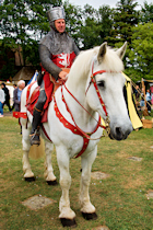 Click to see expanded image