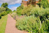 Click to see expanded image