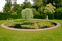 Click to see expanded image