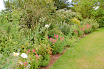 Click to see expanded image