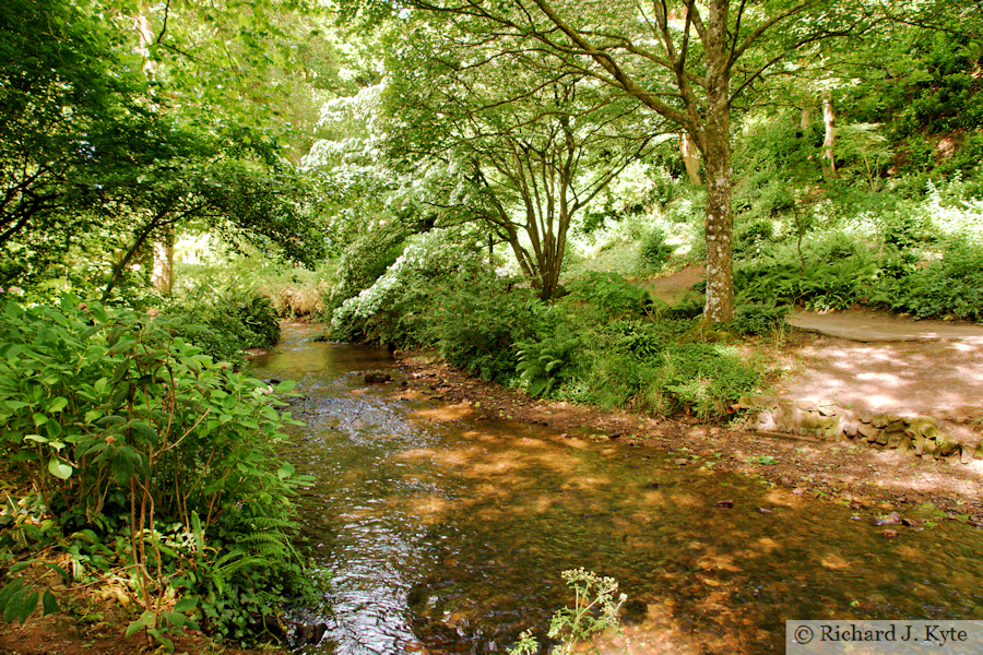 River Avill, Dunster Castle, Somerset