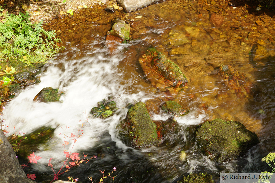 River Avill at Lovers' Bridge, Dunster Castle, Somerset