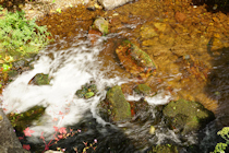 Click to see expanded image