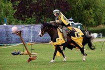 Click to see expanded image