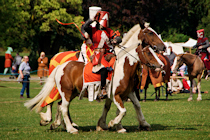 Click to see expanded image