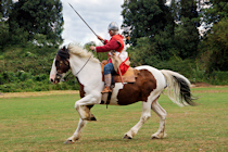 Click to see expanded image