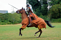 Click to see expanded image