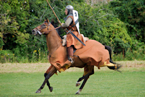 Click to see expanded image