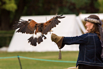 Click to see expanded image