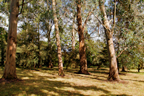 Click to see expanded image