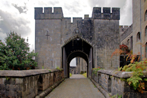 Click to see expanded image