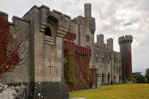 Click to see expanded image