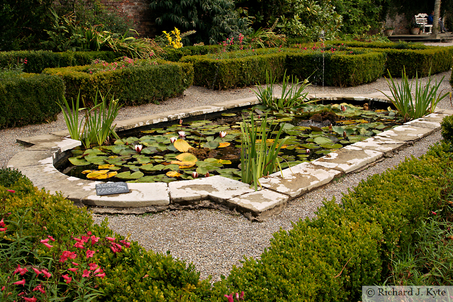 Lily Pond, The Walled Garden, Penrhyn Castle, Gwynedd, Wales