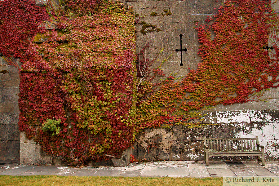 Castle Wall, Penrhyn Castle, Gwynedd, Wales