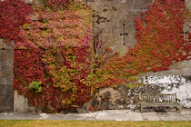 Click to see expanded image