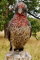 Click to see expanded image