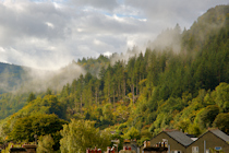 Click to see expanded image