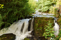 Click to see expanded image