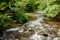 Click to see expanded image