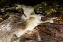 Click to see expanded image