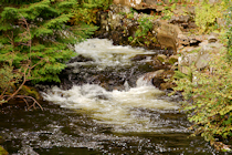 Click to see expanded image