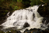 Click to see expanded image