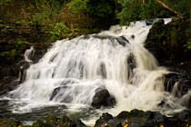 Click to see expanded image