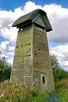 Click to see expanded image