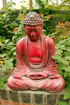 Click to see expanded image