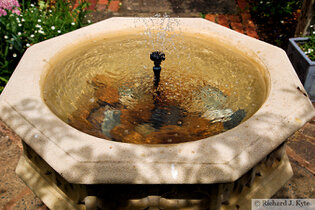 Birdbath, Garden 1, Fladbury Walkabout 2026
