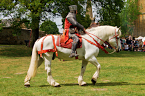 Evesham Medieval Market 2022 Photographs